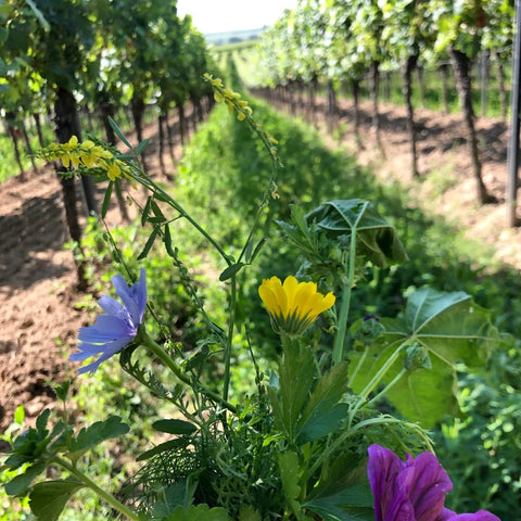 Bunt gemischt