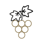 Rebsorte Icon für die Analyse von weingut mario Zelt aus Laumersheim in der pfalz