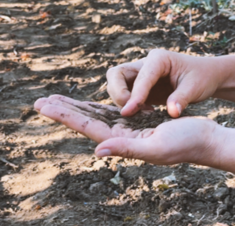 Geprägt von Kies über Ton bis zu Kalksteinverwitterungsboden