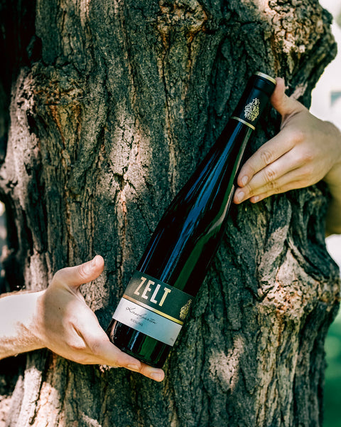 Eine Flasche Riesling Kirschgarten wird von zwei Händen vor einen interessant gewachsenen Baumstamm gehalten.