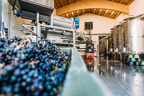 Produktionskeller mit Tanks und Fässern, Weingut Zelt in Laumersheim, Pfalz